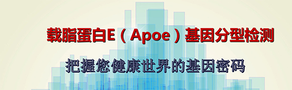 Apoe基因分型检测